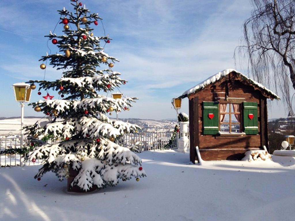 Hotel Wittelsbacher Hoeh Würzburg Dış mekan fotoğraf